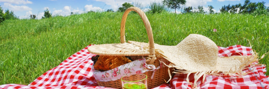 LOS MEJORES DISCOS BRITÁNICOS DE LOS ÚLTIMOS 25 AÑOS - Página 2 Tips-para-cesta-picnic-perfecta